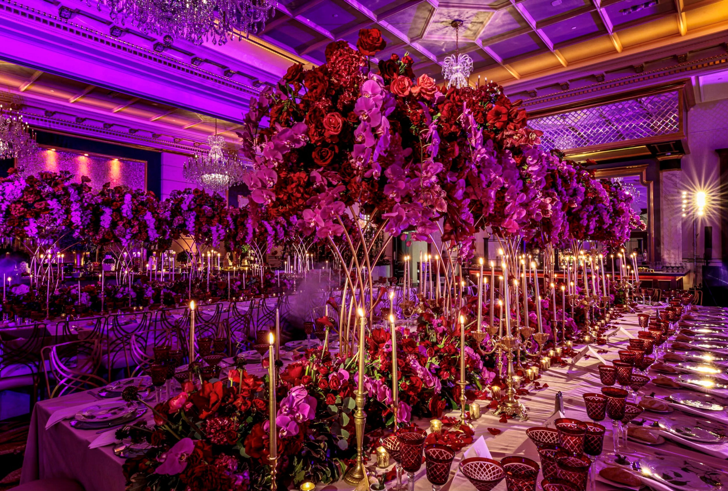 A long banquet beneath a canopy of magenta flowers